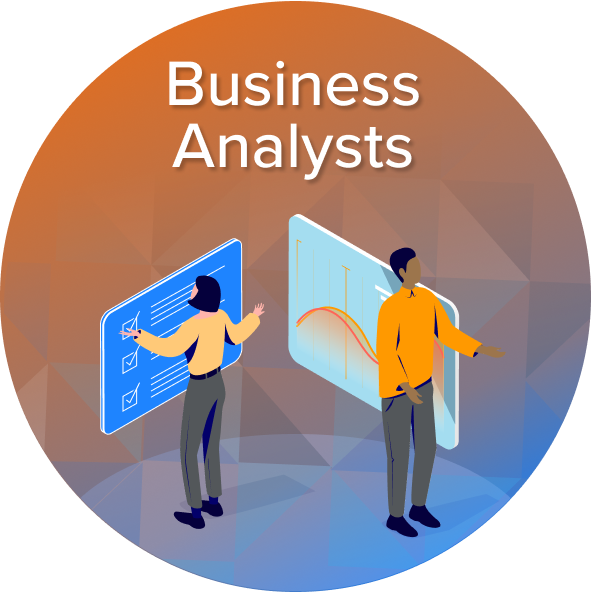 business analysts